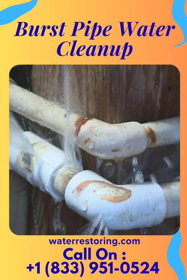 Burst Pipe Water Cleanup in Churchtown, PA