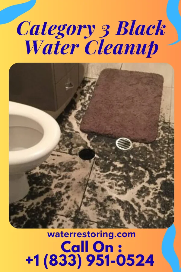 Category 3 Black Water Cleanup in Churchtown, PA