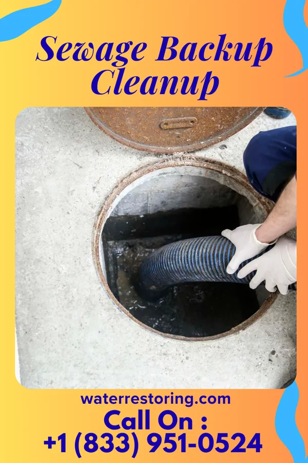 Sewage Backup Cleanup in Churchtown, PA
